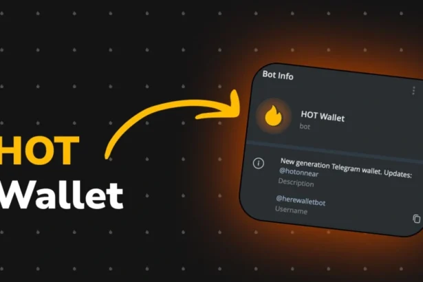 HOT Protocol: The Future of Decentralized Chain Signatures and Multi-Chain Transactions